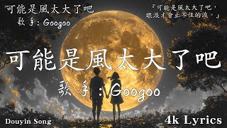 首超好聽的流行歌曲💖2025年 ,  一月 份爆火全網的歌曲 : GooGoo - 可能是風太大了吧 , 可不可以 - 張紫豪 , 承桓 - 我會等 , 旺仔小喬 - 如果愛忘了