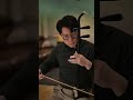 tears of the kingdom legend of zelda nintendo legendofzeldabreathofthewild 二胡 erhu