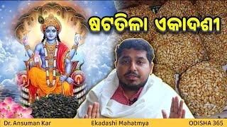 ଷଟତିଳା ଏକାଦଶୀ | Ekadashi Mahatmya | Dr. Ansuman Kar | Satatila Ekadashi | Odisha 365