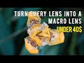 Make ANY E-Mount Lens A Macro Lens: Extension Tube for Macro Photography (under $40)