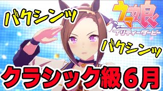 【ウマ娘/完全初見】バクシンオー育成後半🌸ガチャも引くぜ✌【新人Vtuber】