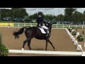 extasia british dressage home international elementary 57 1st place