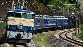 EL/SLぐんまよこかわ　ef65 501、D51 498