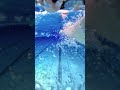 POV freestyle swimming