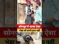 सोनपुर मेला में आया ऐसा भेड़ा जो कभी हारा नहीं।sonpur mela