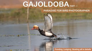 Gajoldoba tourist spot : birding at Gajoldoba | Gajoldoba Teesta barrage tour | Gajoldoba barrage