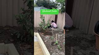 ఆడపిల్ల వుంటేనే ఆ ఇంటికి అందం #perth #australia#gardening#weekend