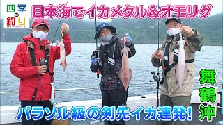 日本海でイカメタル＆オモリグ　パラソル級の剣先イカ連発！（四季の釣り/2021年7月23日放送）