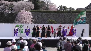 風火雷霆　篠山よさこいまつり２０１７　メイン会場４ｋ