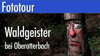 Fototour Waldgeisterweg Oberotterbach