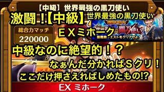 サウスト：激闘【中級】ＥＸミホーク！中級なのに絶望的！？→ なぁんだ分かればＳクリだね！世界最強の黒刀使い