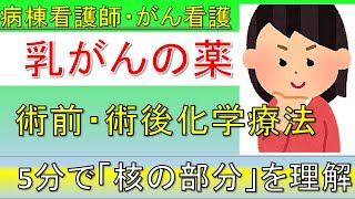 【病棟看護師・がん看護】乳がん、抗がん剤の意図、術前・術後化学療法を解説！薬、点滴、抗がん剤の勉強！【薬剤師への質問あるある】