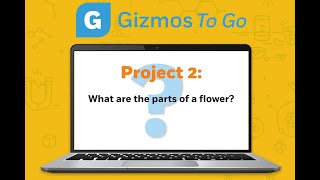 Gizmos to Go: Flower Dissection