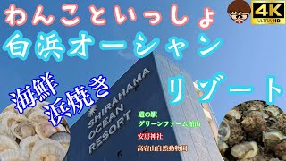 【海の幸】【わんことレストランOK】白浜オーシャンリゾートに泊まってみた。最新道の駅も行ったよ。