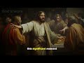 the incredible story of the gospel of matthew