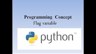 flag variable in python|flag in python