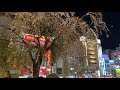 4k花見 上野恩賜公園 ueno park tokyo cherry blossom sakura