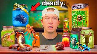 Don’t Buy Live Fish Off The Dark Web…