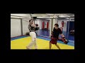 ion britchi 90 110 kg 187cm fighter shinkyokushin karate kickboxing mma