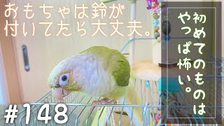 【ウロコインコ】よも日記#148