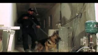 APS Security | Active Protective Services Australia | Official Video