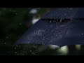 rain on umbrella serene rain sounds for peaceful ambiance and relaxation 🌂☔