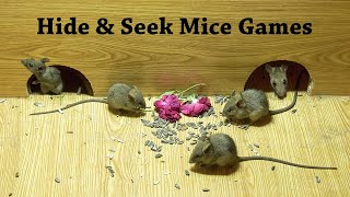 Cat Games - Mice Hide and Seek For cats To Watch & Enjoy with Night Crackers Sound - 4k UHD