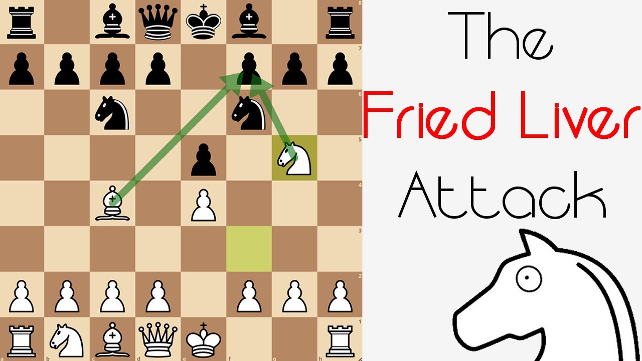 The Fried Liver Attack Chess Openings Youtube