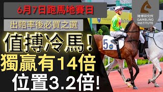 【賽馬貼士】6月7日 值搏冷馬！｜獨贏有14倍 位置都有3.2倍！值得一搏！