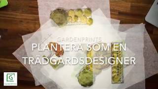 Planera din trädgård med planer från GardenPrints