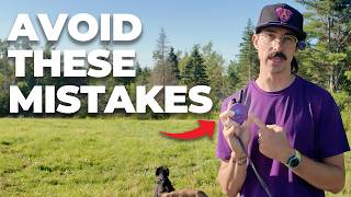 Ecollar Training for Beginners—Avoid these Mistakes!