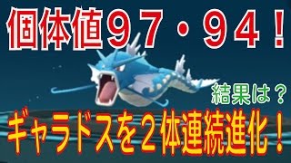 【ポケモンGO】個体値、劇高のコイキングをギャラドスに２体連続で進化させてみた！【pokemongo】