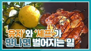 유자가 셰프의 손을 거치면 일어나는 일? 유자의 재탄생, 그 맛이 궁금하다, 유자요리, 먹방,유자손질