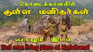 கொடைக்கானல் தாண்டிக்குடி  குள்ள மனிதர்கள் வாழும் இடம்/ A place where  (Doll Man) live at Kodaikanal