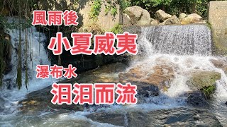 (137)小夏威夷風雨後，瀑布流水淙淙。