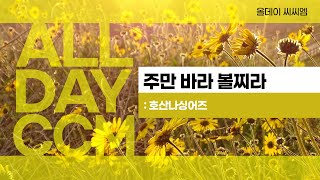 [ALL DAY CCM] 주만 바라 볼찌라 - 호산나싱어즈