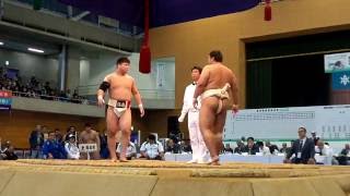 20161004岩手国体相撲成年団体決勝トーナメント二回戦9 福島県ー新潟県