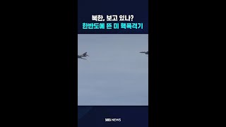 북한, 보고 있나?…한반도에 뜬 미 핵폭격기 #shorts