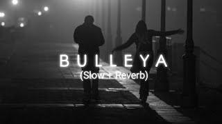 BULLEYA | Full Song | Sultan | Salman Khan, Anushka Sharma | Papon | Slowed+Reverb|