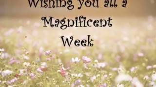 Wishing you a magnificent week