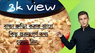 বাচ্চা ব্রুডিং করার আগে কিছু গুরুত্বপূর্ণ তথ্য জেনে নিন, #ব্রয়লার মুরগির খামার, #ব্রুডিং #poultry