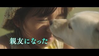 有村架純がモノローグで参加　ピュアな声が少女と犬の成長物語を温かく包み込む　映画『駅までの道をおしえて』予告映像