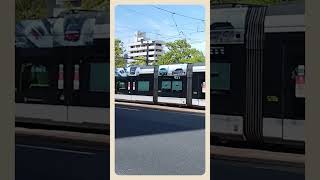 #short 　5206号　広島の素敵な路面電車🚊【Hiroshima 】#trams  ＃路面電車＃広島電鉄#train＃ひろしま＃Japan