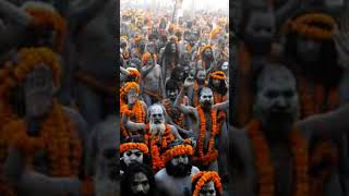 Ye prayagraj h ye prayagraj h ||Mahakumbh prayagraj uttarpradesh