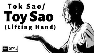 Toy Sao / Tok Sao (Lifting Hand) - Wing Chun Technique Lesson for Beginners