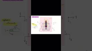 หลักการโฮโมโพล่า(Homopolar Motor)