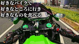 この日間違いなく世界一幸せだった男の真実 | ZX10R | モトブログ | Ninja | ニンジャ