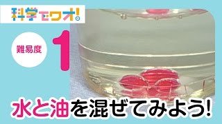 【自由研究】水と油を混ぜてみよう！