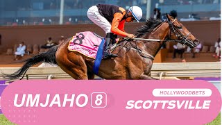 20241229 IsiZulu Hollywoodbets Scottsville Race 8 won by HOPE IS POWER