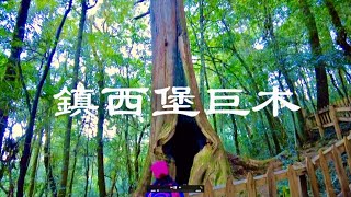 鎮西堡巨木B群(李錦昭)